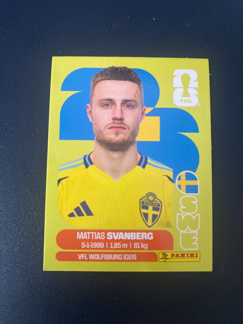 Panini Carte collezionabili: Panini FIFA World Cup Sticker SWE 12 – Nuovo (secondo la descrizione) da Glattbrugg venduto da riseca