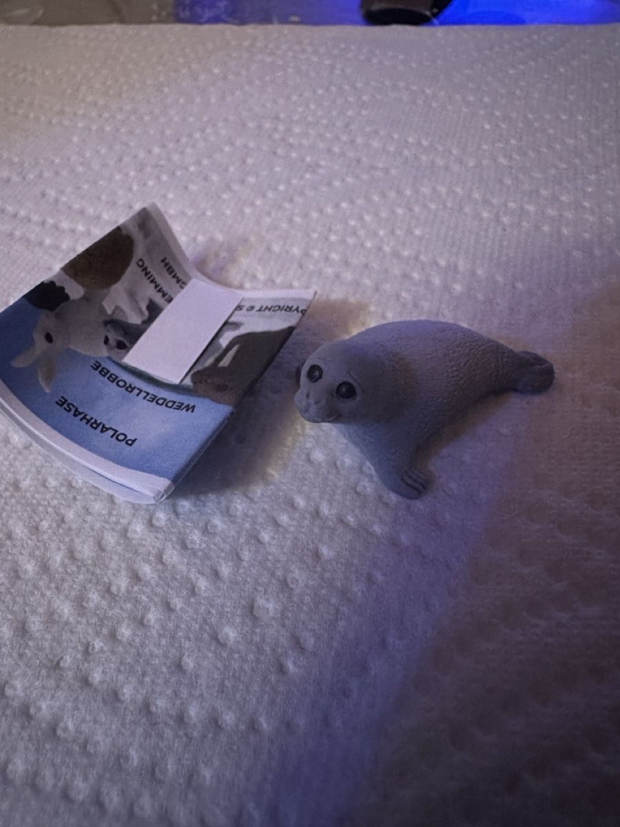 Schleich Statuette: Schleich Wedellrobbe, neu – Nuovo e nell'imballaggio originale da Wangen b. Olten venduto da MOMO80 1