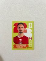 Panini CAN 10