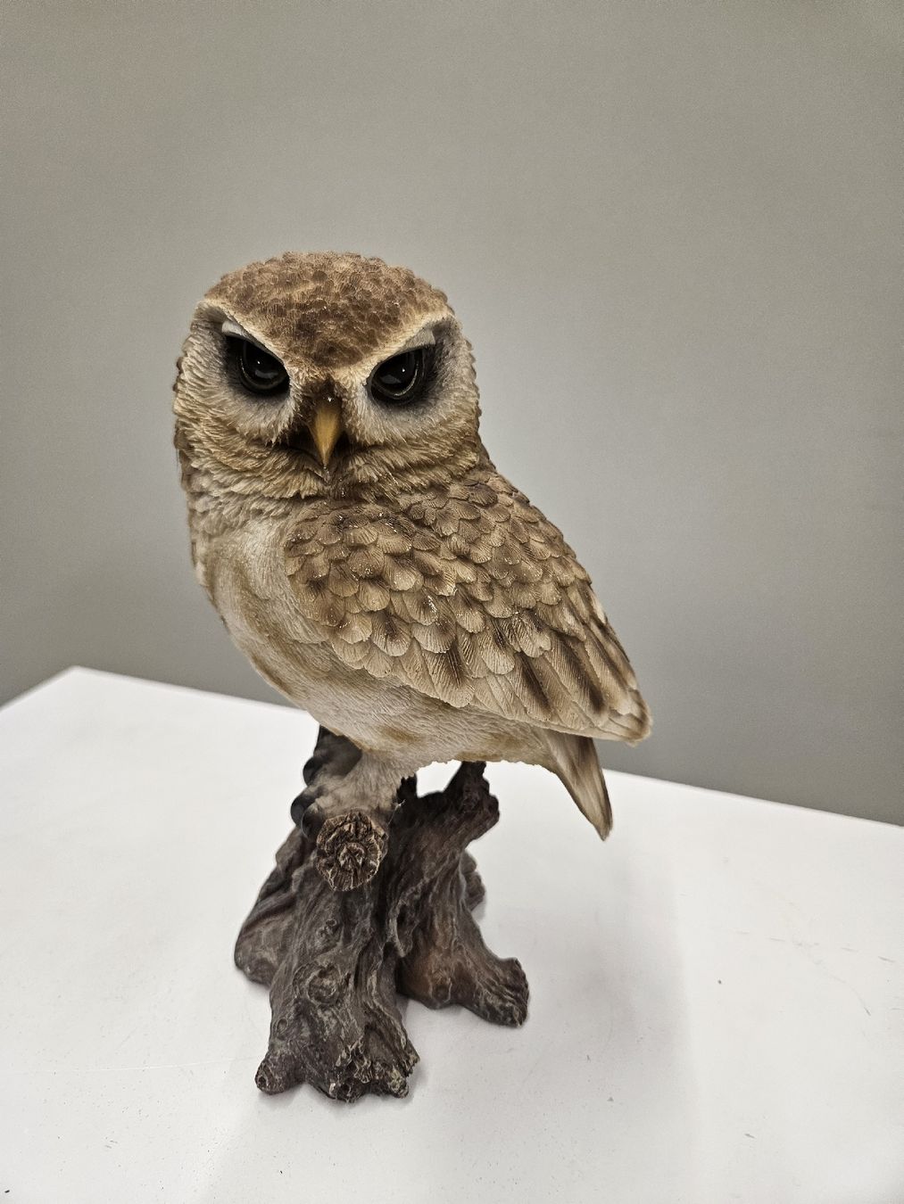 Figurines: Eule 20cm – Neuf (Voir description) à Dielsdorf par Kenan997