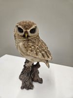 Eule 20cm