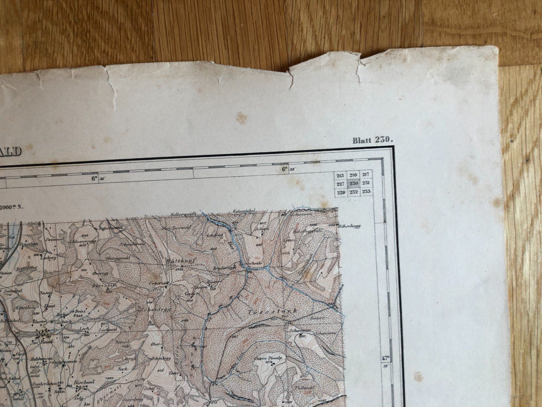 Landkarten & Atlanten: Siegfriedatlas Bl. 230: Wald 1882 – Gebraucht aus Zürich von allp 4
