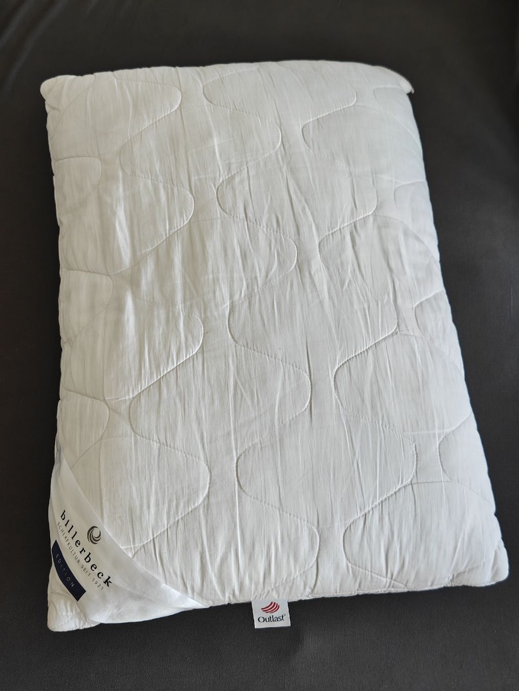 Cuscini: Billerbeck 50x70 pillow – Usato da Zürich venduto da seconda_chance