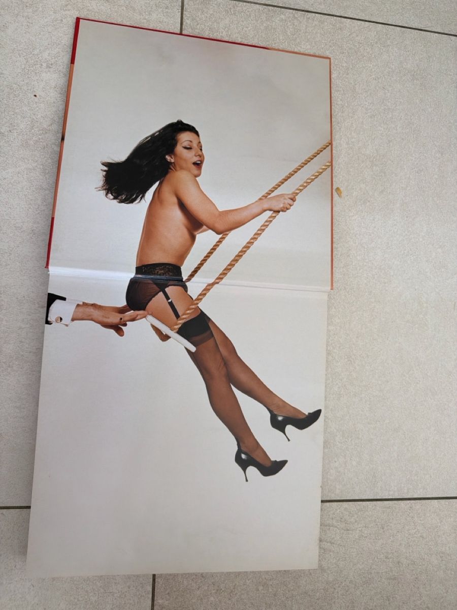 Bücher: Book " Pin-Ups" excellent condition – Gebraucht aus Martigny von Jacoosh1234 2