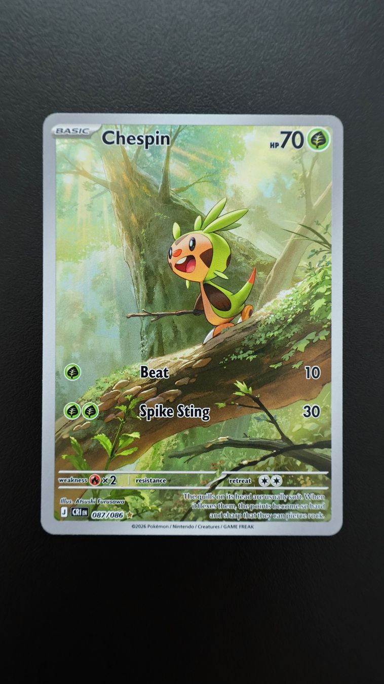 Pokémon Carte collezionabili: Pokémon Chespin #87 Mint Condition / Top Centering – Nuovo e nell'imballaggio originale da Obfelden venduto da vivialexandra