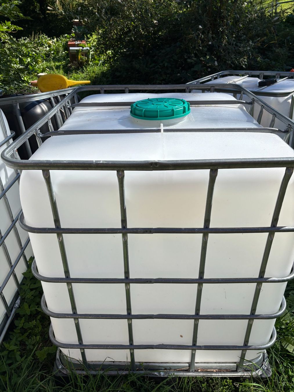 Abbeveratoi e trogoli: IBC Tank 1000 Liter – Usato da Brunnadern venduto da crownb8 1