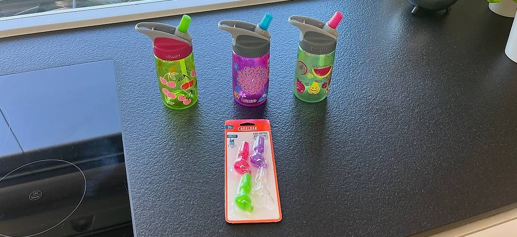 Trinkflaschen & Thermosflaschen: Camelbak Trinkflasche Kinder – Gebraucht aus Kastanienbaum von pet_57dn