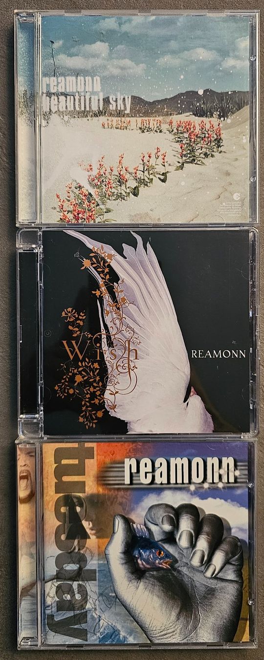 CD: Reamonn CD's, inkl. Debütalbum – Usato da Unterkulm venduto da Chaplyn2018