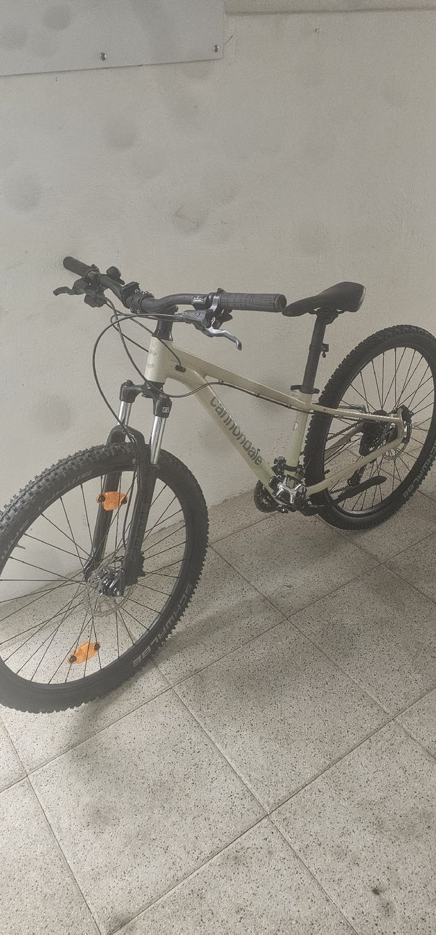 Cannondale Biciclette: Jugend MTB Hardteil  Cannondale – Usato da Möhlin venduto da ret_2my7