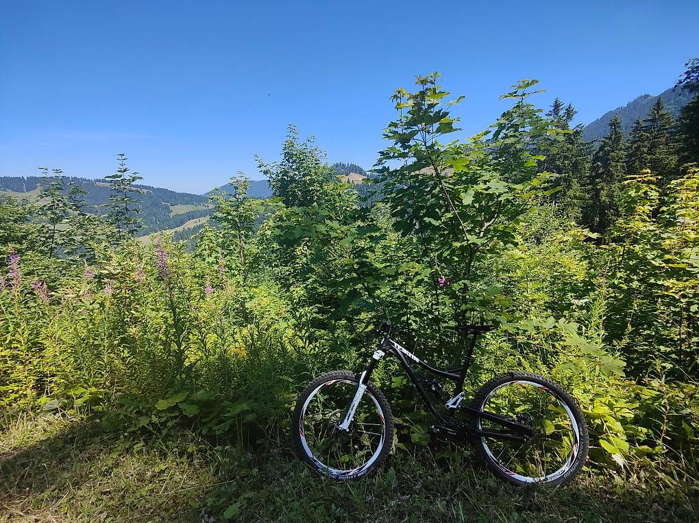 Biciclette: Alutech Pinion 18 – Usato da Palézieux-Village venduto da imarocker01 1