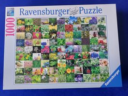 Ravensburger Puzzle 99 Kräuter und Gewürze 1500 Teile