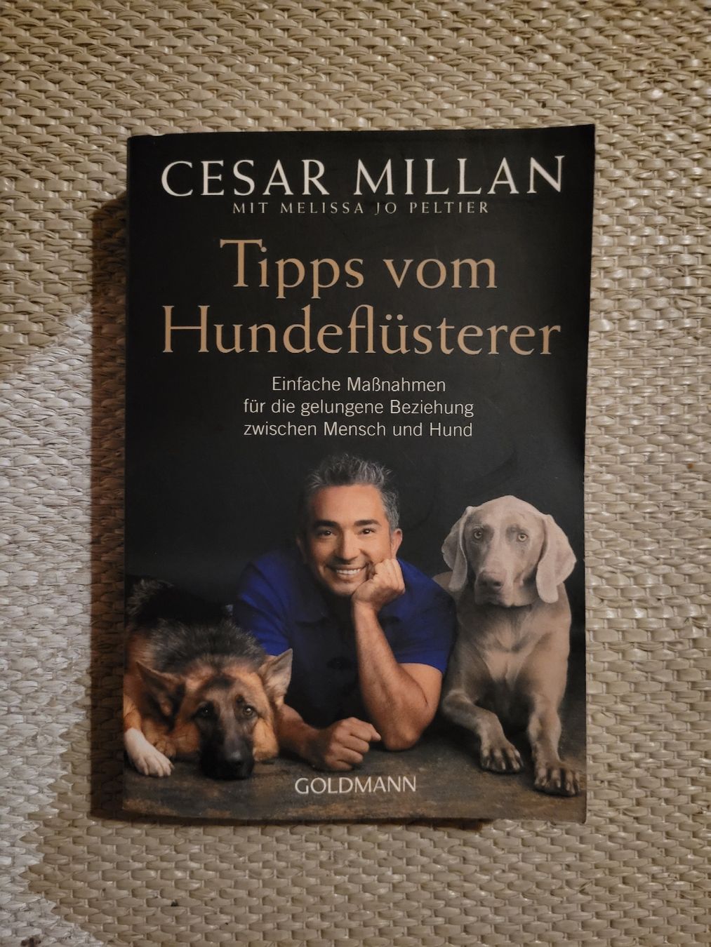 Libri: Cesar Millan - Tipps vom Hundeflüsterer – Usato da Perlen venduto da Safari_23