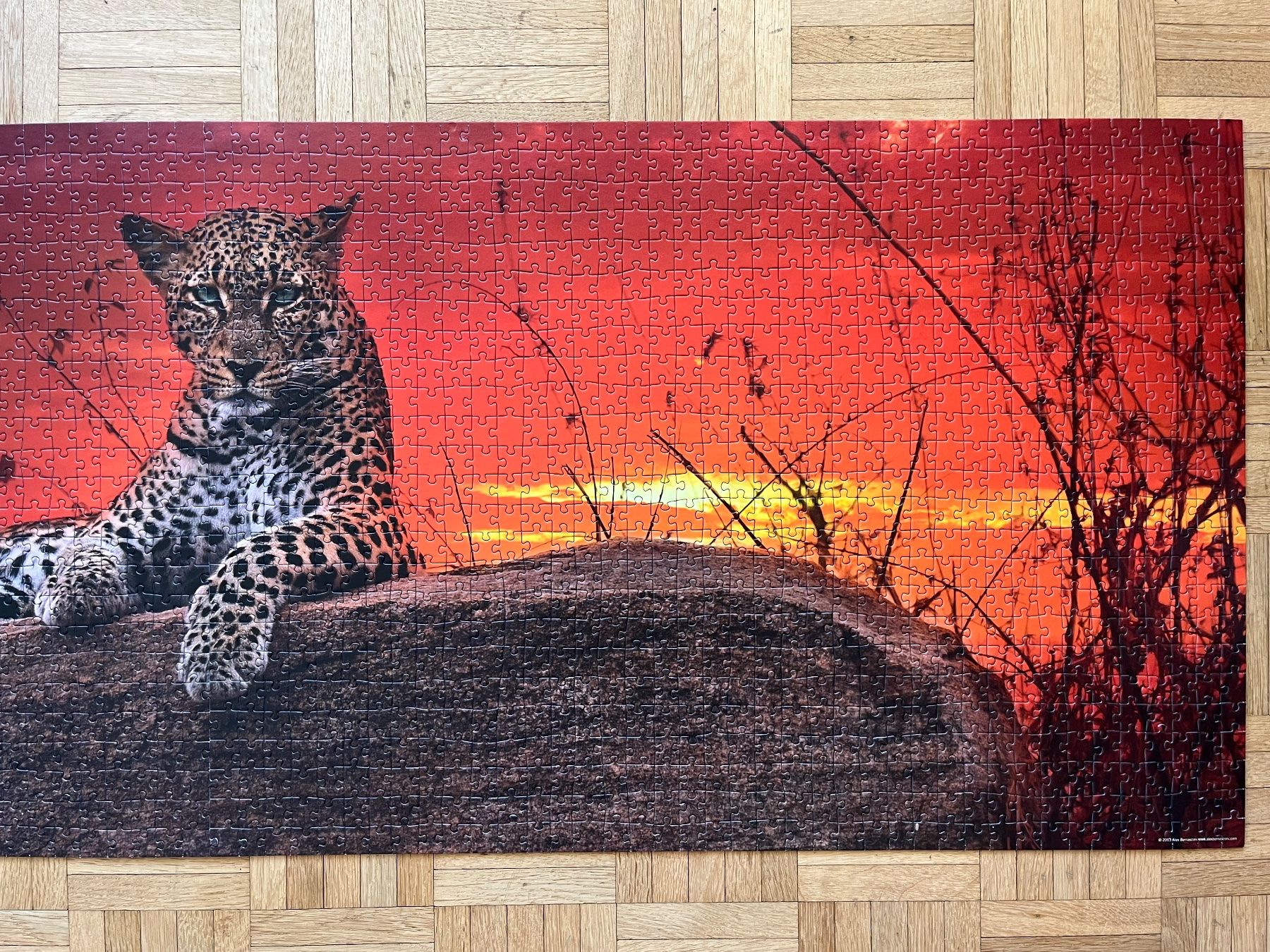 Heye Puzzle: Panorama Puzzle Leopard 2000 Teile - Edition Humboldt – Usato da Zürich venduto da Gurkis 4