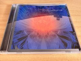 Mandorla – Invisible Intelligence