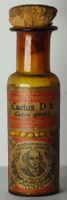 Seltene Homöopathie Flasche Cactus D3 Leipzig Um 1900 7.5cm