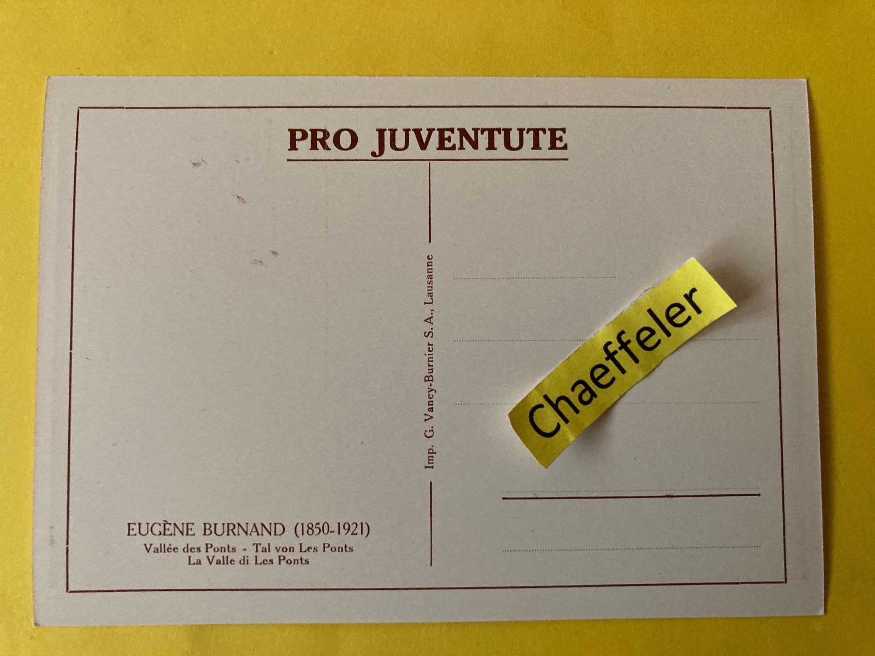 Cartoline postali: Pro Juventute - Eufène Burnard (1850-1921) – Usato da Zürich venduto da Chaeffeler 1