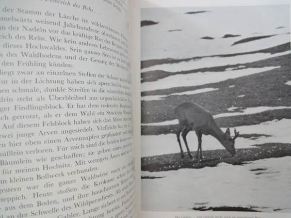 Libri: Herrliche Alpentiere – Usato da Chur venduto da omonia 5