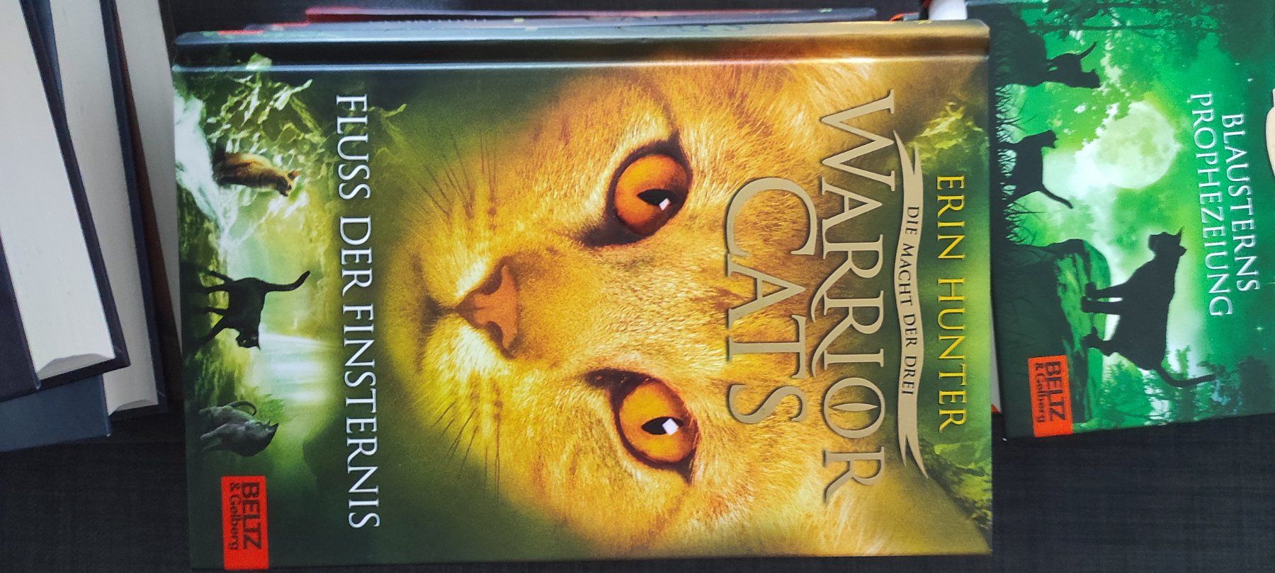 Libri: Warrior Cats, Staffel 3, 6 Bücher – Usato da Bassersdorf venduto da lar_9p6m 4