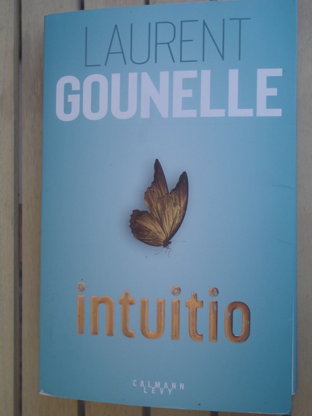 Bücher: Intuition - Laurent Gounelle – Gebraucht aus Fully von Minouchka