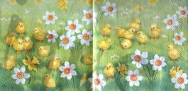 Serviette küken 25x25 (t299) 3Stk.