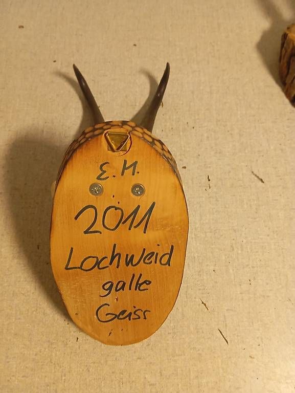 Alle Dekorationen: Gems horn auf Brett – Gebraucht aus Basel von Petergunn 2