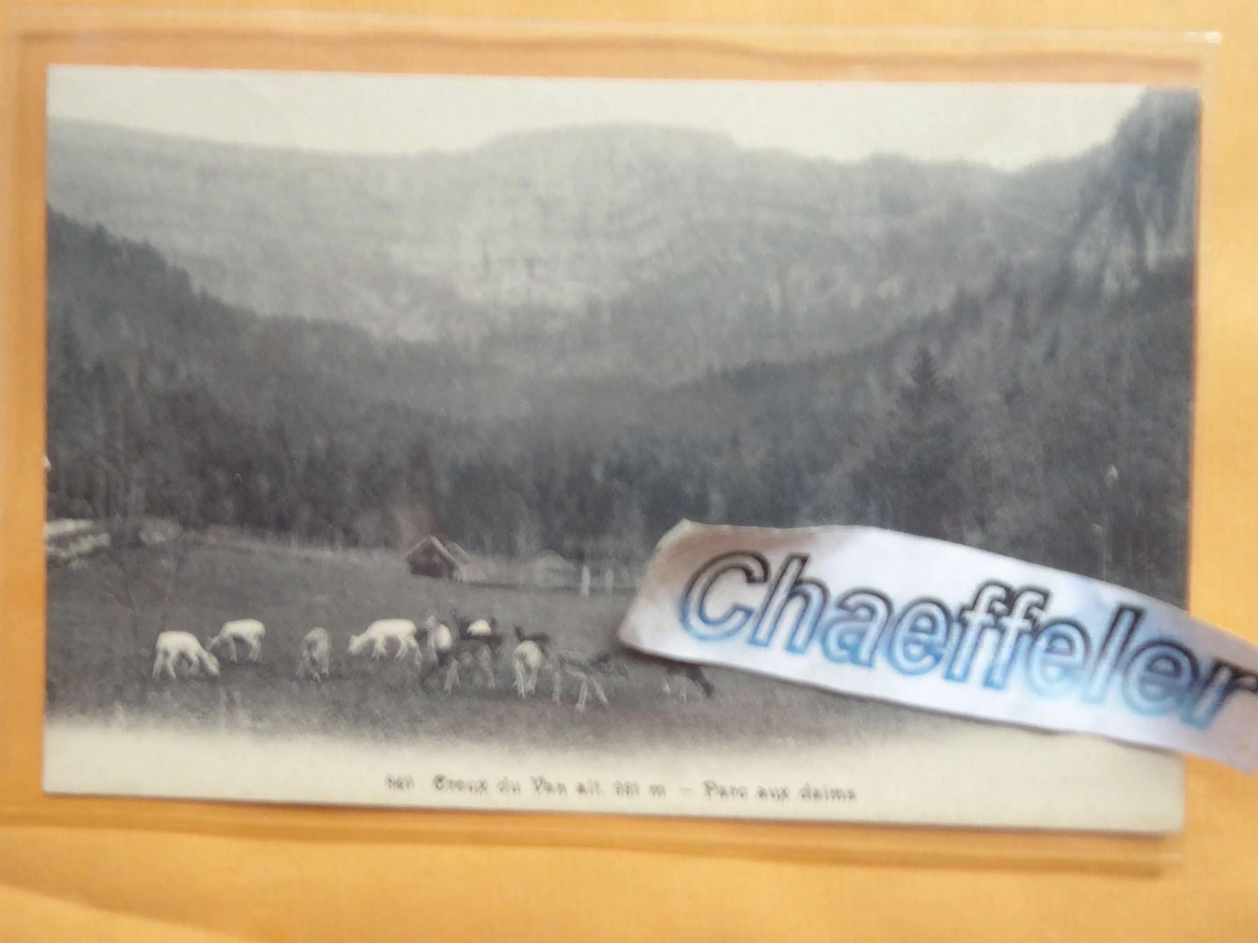 Cartes postales: 1905 Creux du Van - Parc aux daims – D'occasion à Zürich par Chaeffeler