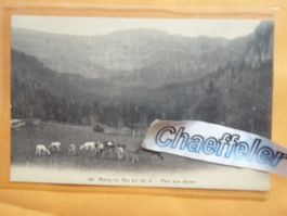 1905 Creux du Van - Parc aux daims
