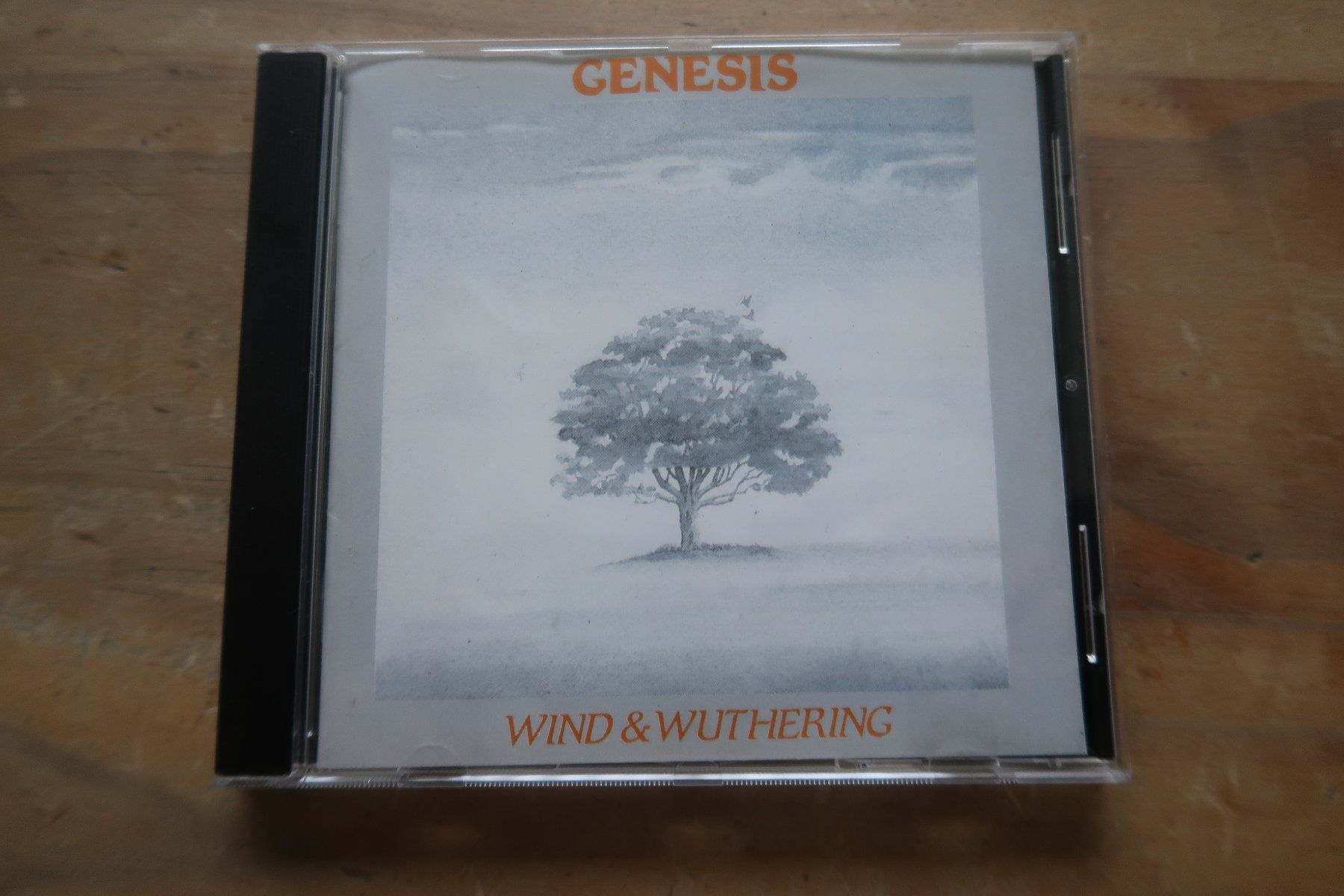 CDs: GENESIS - WIND & WUTHERING - CD – Gebraucht aus Basel von Patiscat
