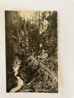 Postkarte von Lenk, Wallbachschlucht
