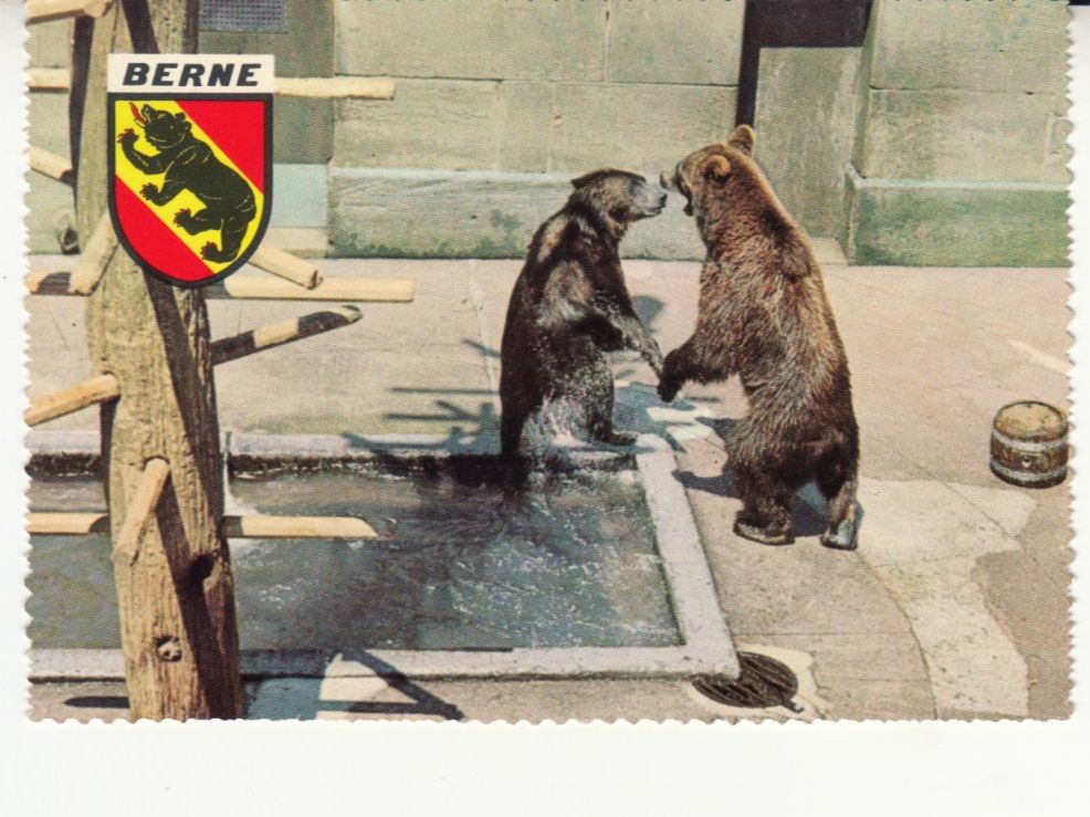 Cartoline postali: Bern Am Bärengraben ca. 1960 – Usato da Bürglen TG venduto da StampGraf