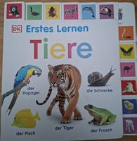 Kinderbuch Erstes Lernen Tiere gebraucht