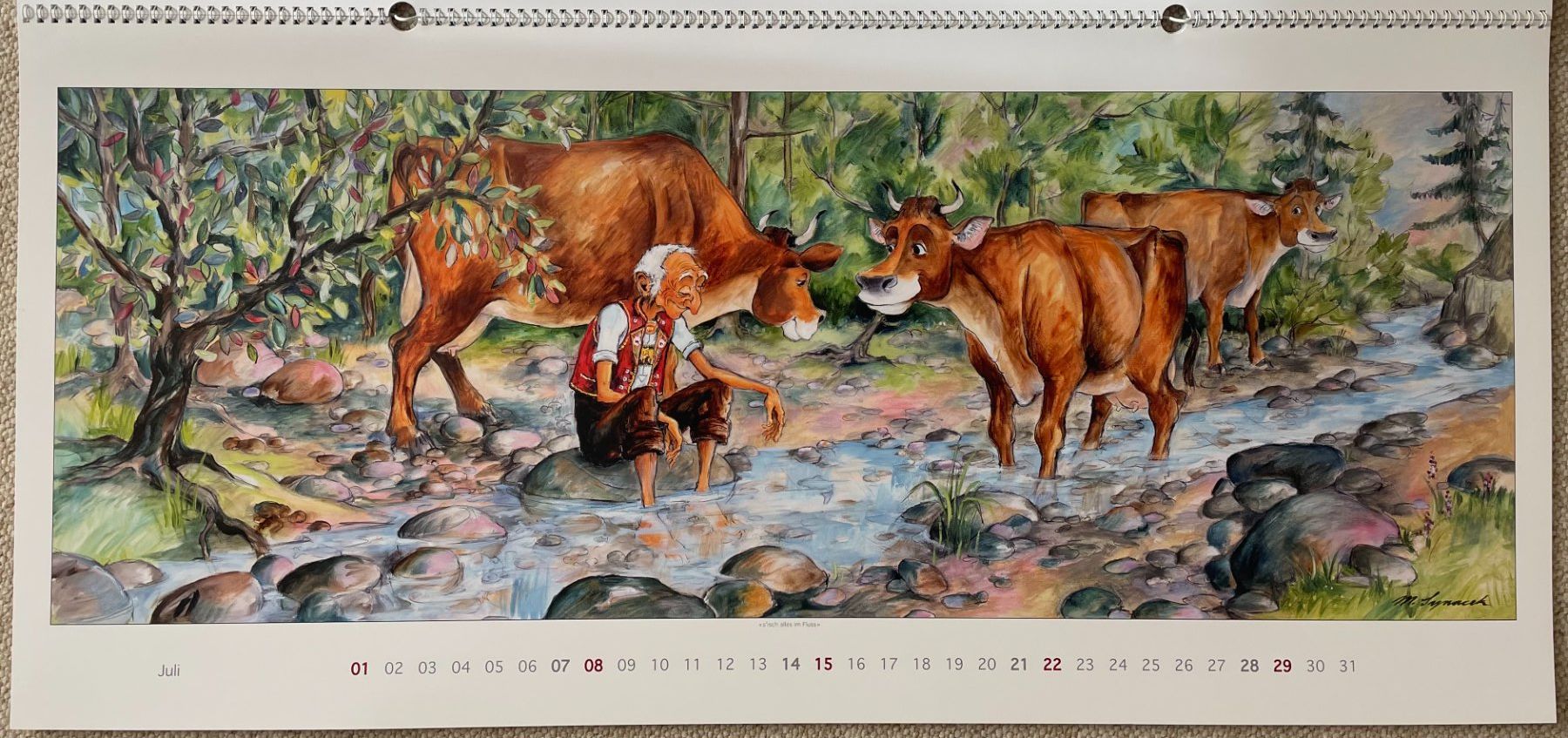 Calendari: Synacek Kalender – Usato da Rümlang venduto da Boehneli7 7