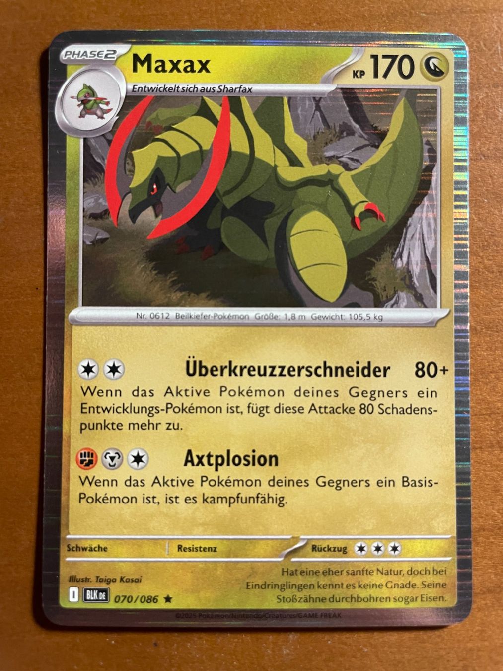 Pokémon Carte collezionabili: Pokemon Maxax Holo (Versand gratis) – Nuovo (secondo la descrizione) da Chur venduto da Angerson