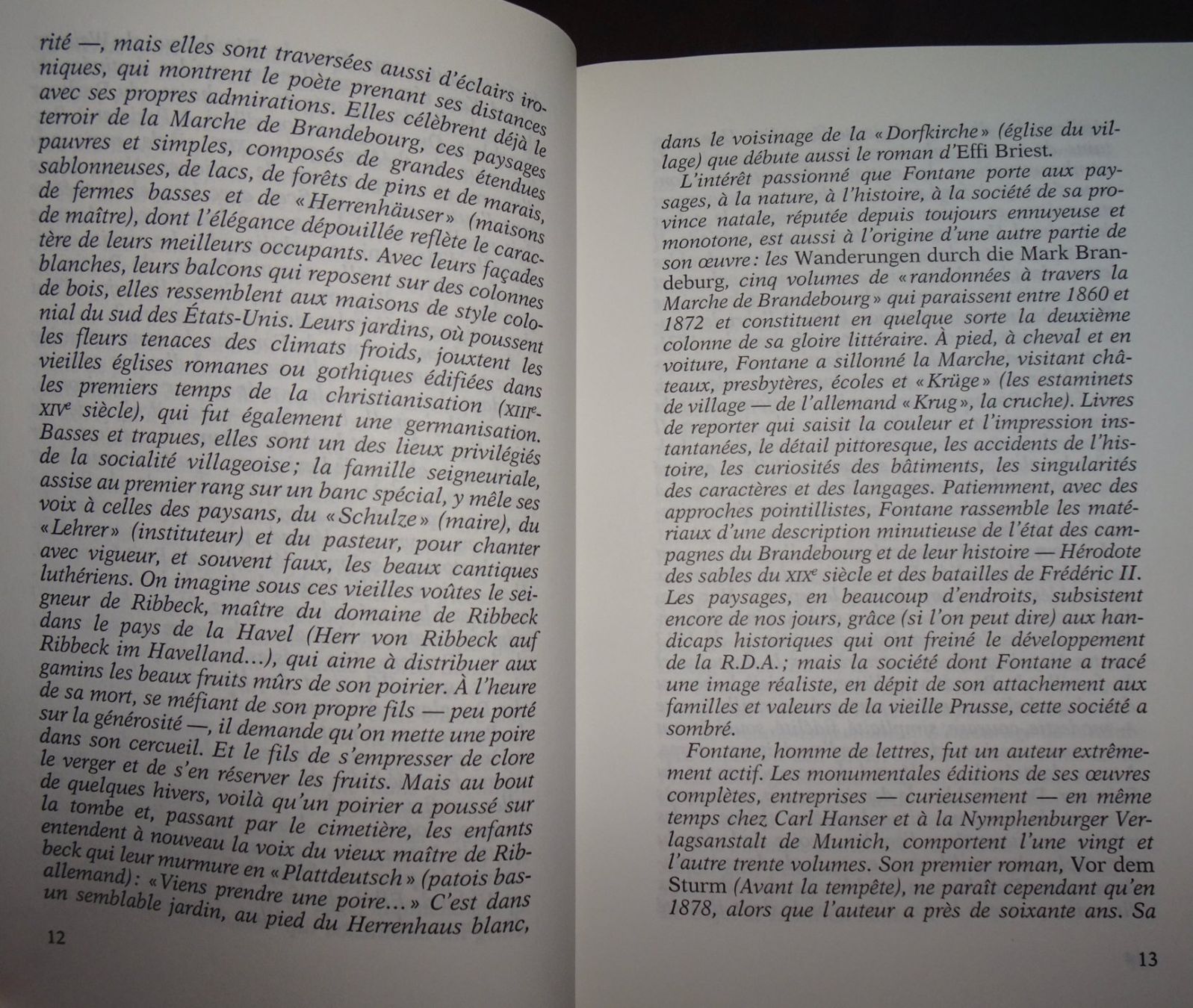 Libri: Effi Briest - Theodor Fontane – Usato da Châtelaine venduto da Gio54321 5