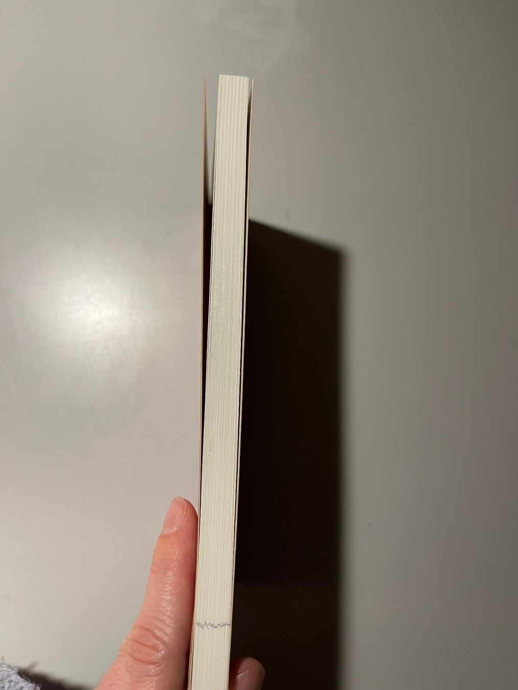 Libri: Carlo Zumstein: Schamanismus – Usato da glattfelden venduto da kimiaxel 2