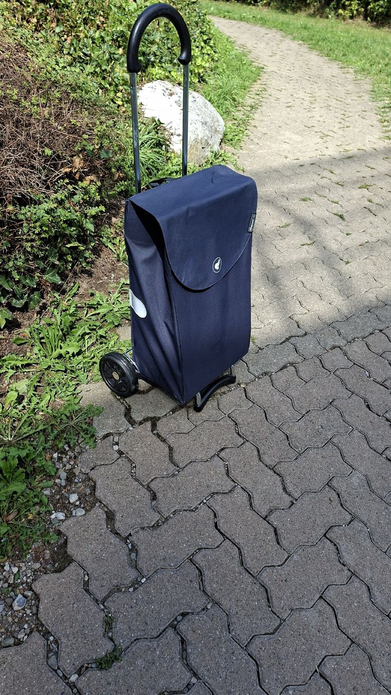 Altro per la casa: Einkaufstrolley ANDERSEN – Usato da Wallisellen venduto da man_vh9r