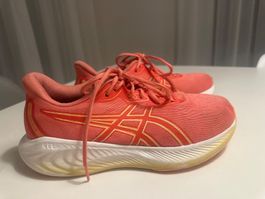 Laufschuhe Asics Gel Cumulus Grösse 40