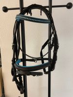 Zaum für Pony, Mini-Shetty, schwarz