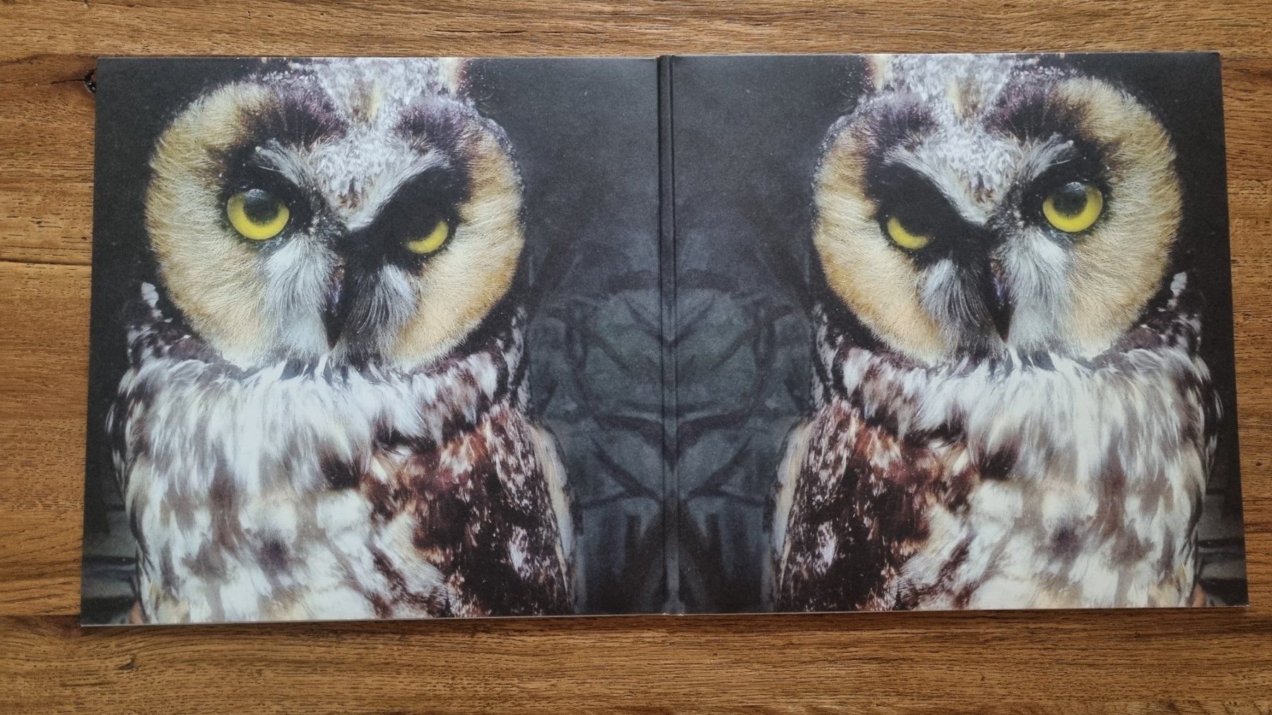 Schallplatten: LOW - "Ones and Sixes" - Vinyl – Gebraucht aus Hedingen von guarder 2