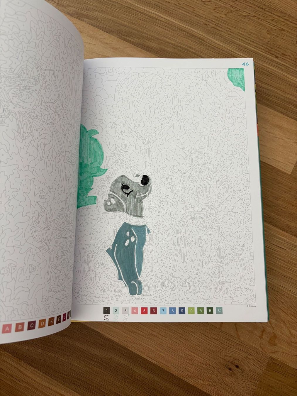 Libri: Disney Malen nach Zahlen – Usato da Spreitenbach venduto da galus_z 1