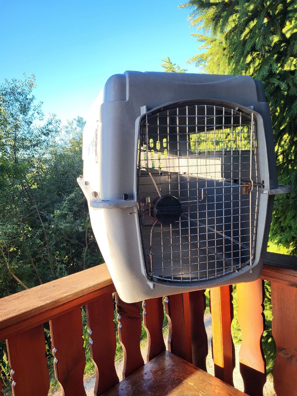 Gabbie, trasporto & Sicurezza: Hundebox  – Usato da Glovelier venduto da Spitzegugger 1