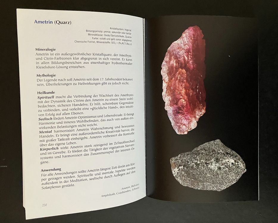 Libri: die steinheilkunde . das handbuch . michael gienger – Usato da Allschwil venduto da rotocker 3