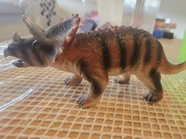 Triceratop