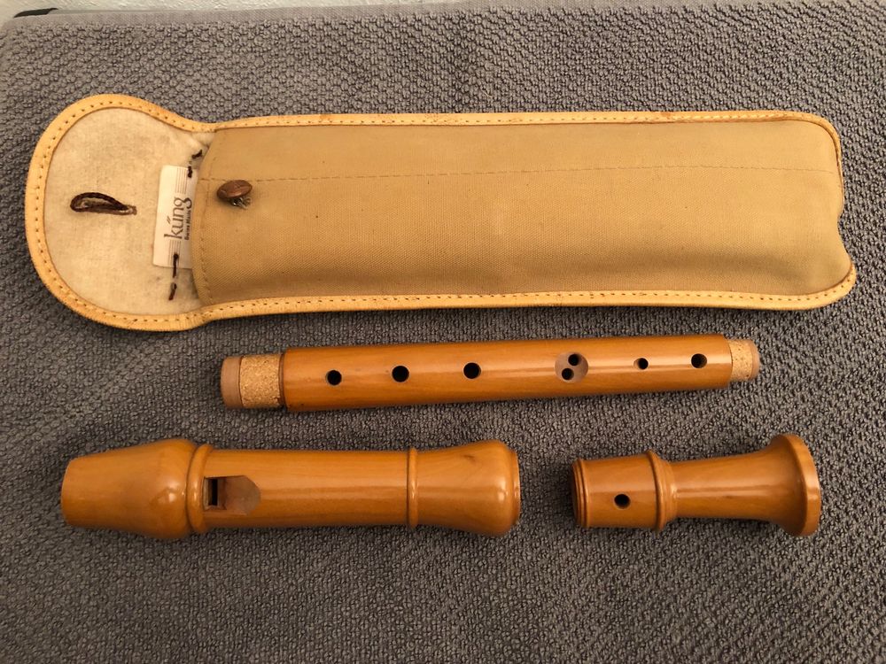 Alt-Blockflöte mit Etui, Küng (Gebraucht) in Minusio für CHF 35 – mit ...