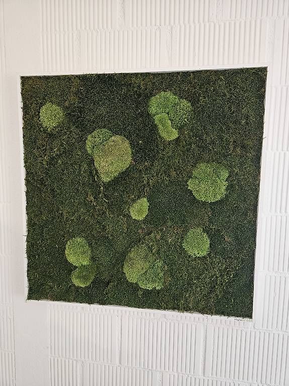 Tutte le decorazioni: Moosbild Wandbild aus Moos Kugelmoos 80x80 – Usato da St. Gallen venduto da Rvrs1979