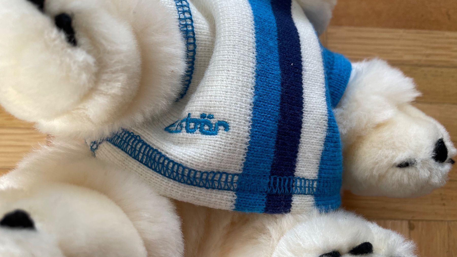 Steiff Giocattoli: Eisbär Bär – Nuovo e nell'imballaggio originale da Rüfenacht BE venduto da lavok 1