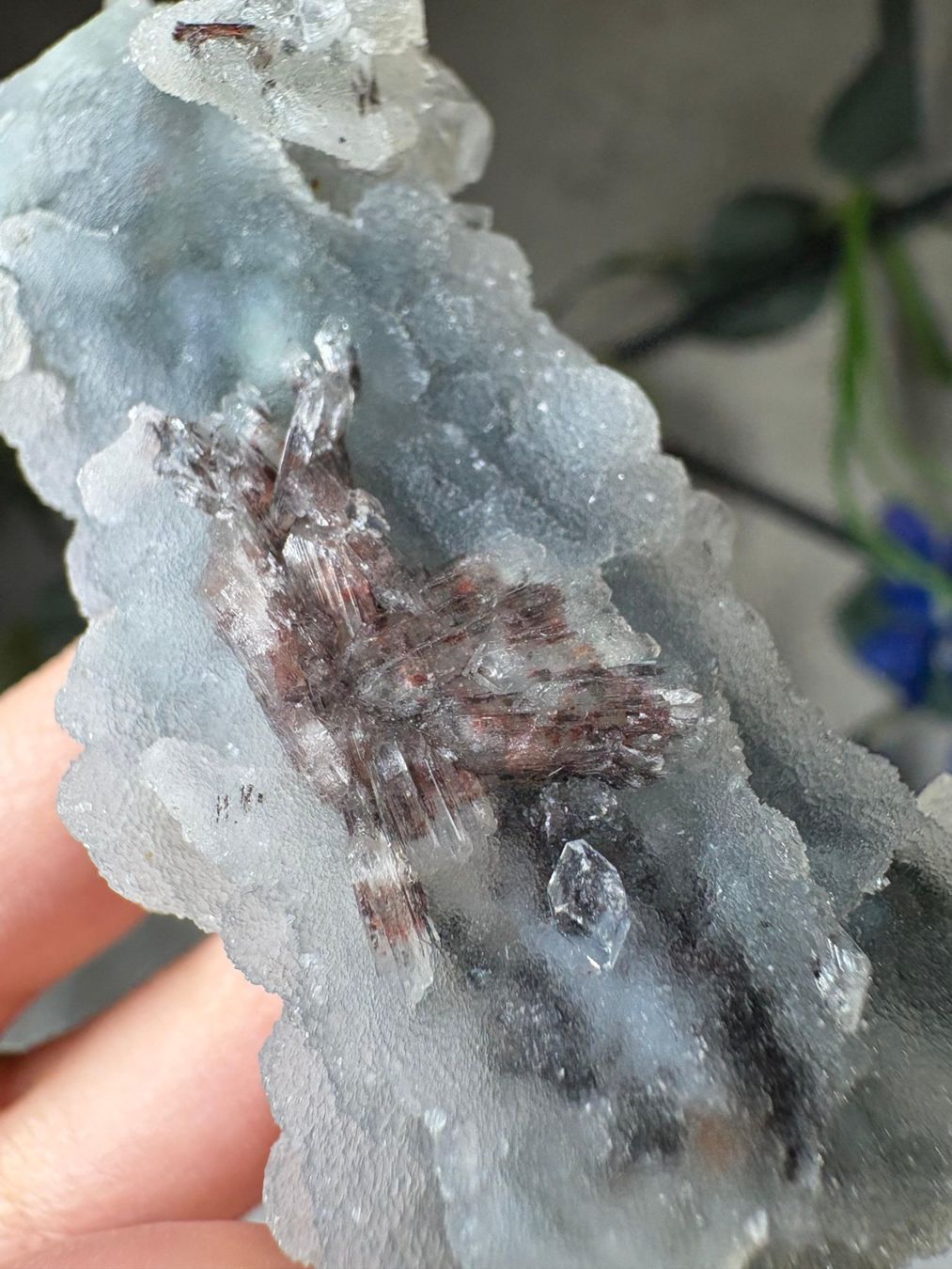 Minerali & Pietre curative: Grüner Chalcedon-Stalaktit mit Apophyllit – Nuovo e nell'imballaggio originale da Neuheim venduto da m.hald 5