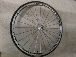 Rennvelo Felge
