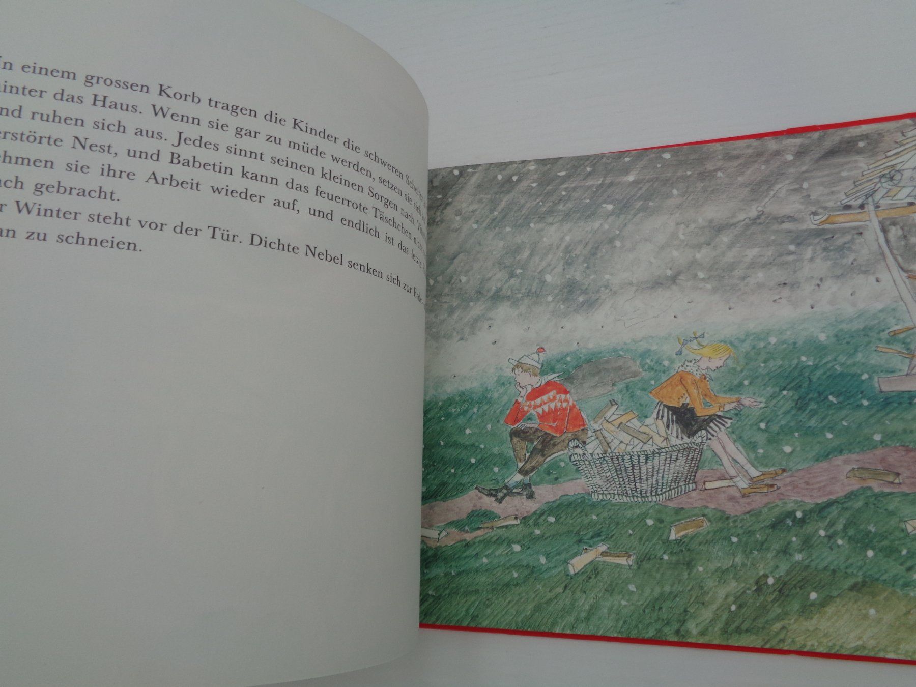 Libri: Birnbaum Birke Berberitze A. Carigiet – Usato da Chur venduto da Oregano1 4
