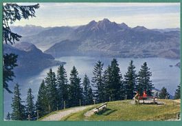 Blick vom Rigi auf Vierwaldstättersee und Pilatus, 1966